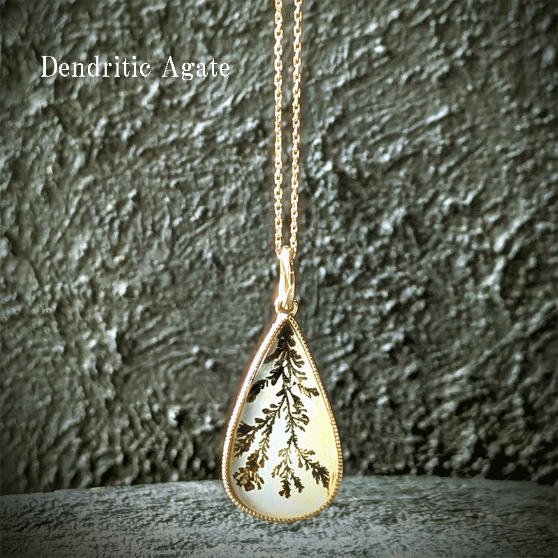 Jardin Secret 006